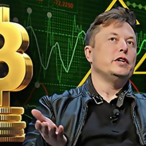 Confirmed Elon Musk Giveaway 5,000 BTC